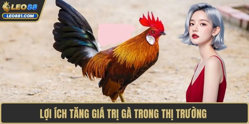Lợi ích tăng giá trị gà trong thị trường 