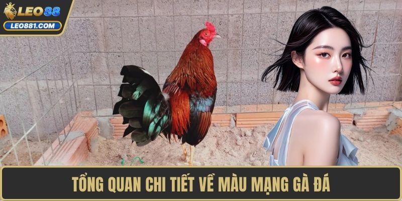 Tổng quan chi tiết về màu mạng gà đá